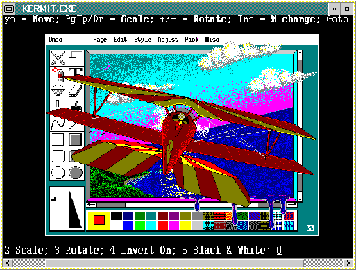 Biplane painting