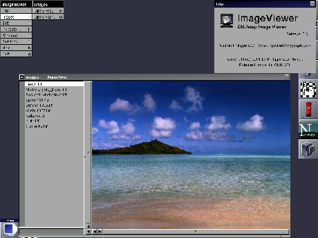 ImageViewer