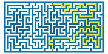 A maze